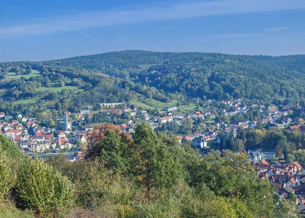 Blick über Miltenberg und die bewaldeten Höhen des Spessarts